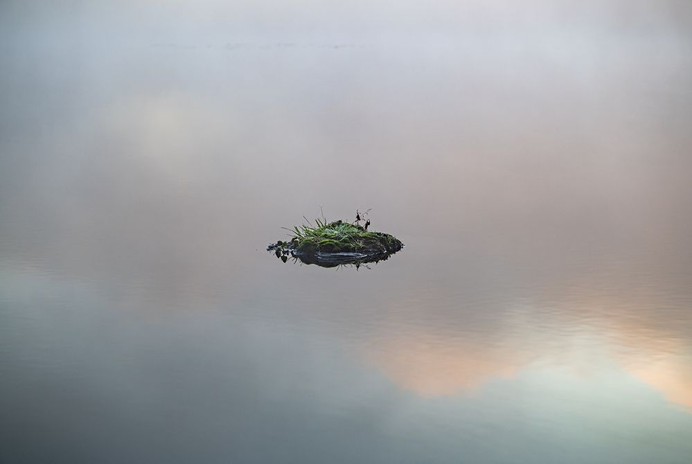 Photograph by Linda Persson