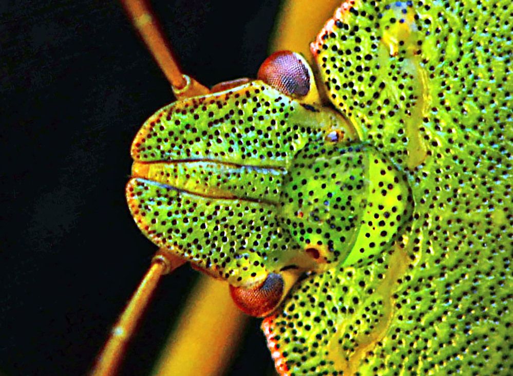 Photograph by Marjo Steffen