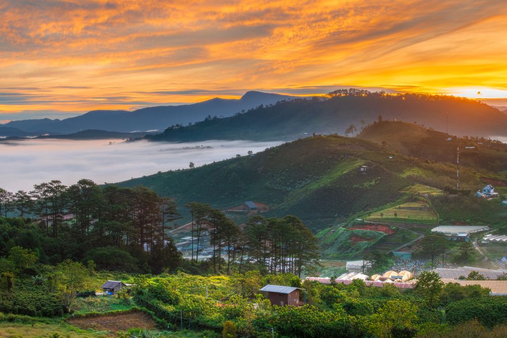 Photograph by Nguyễn Phúc