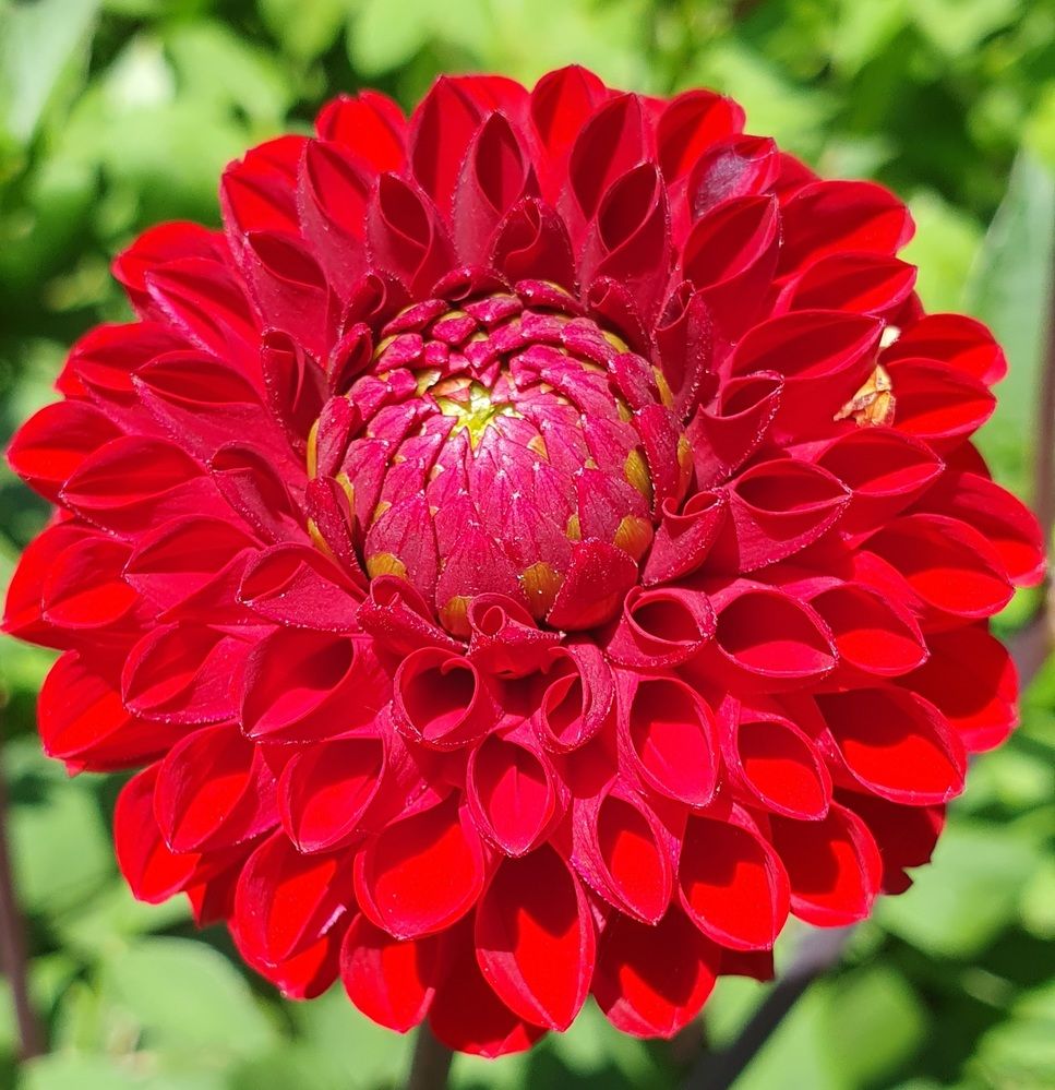 Photograph by Жанна Регор