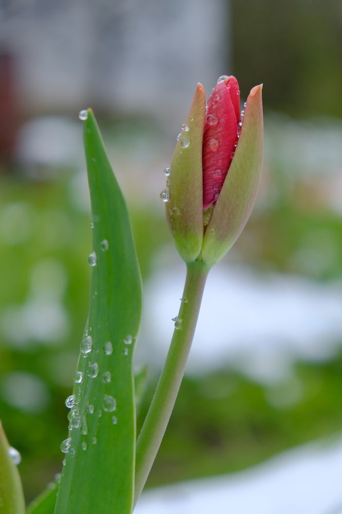 Photograph by Надежда Кангина