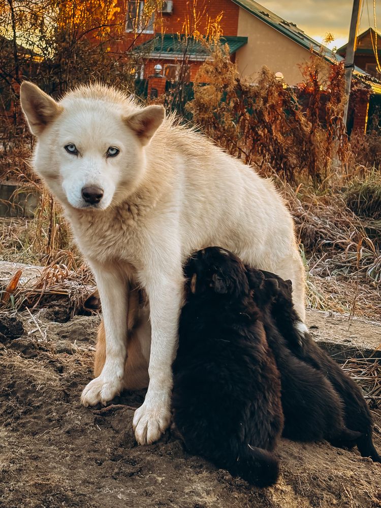 Photograph by Алёна Горошко