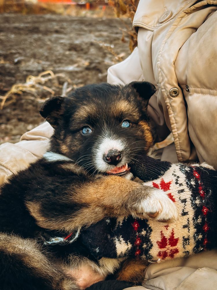 Photograph by Алёна Горошко