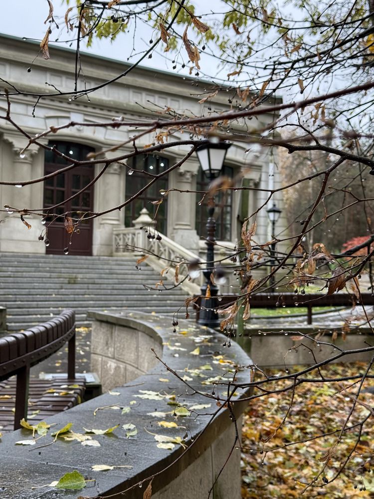 Фотография автора Юлия Денисенко