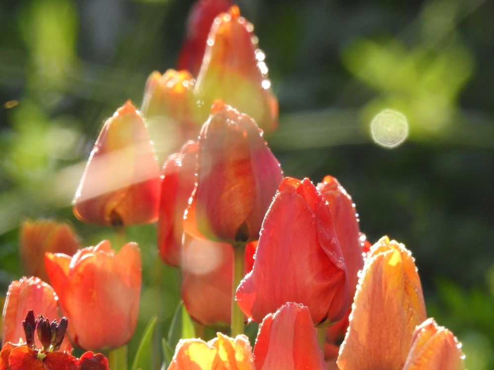 Фотография автора Shavkat Tojiyev