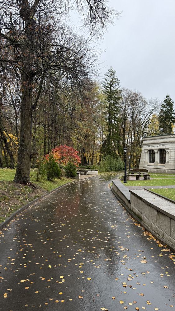 Фотография автора Юлия Денисенко