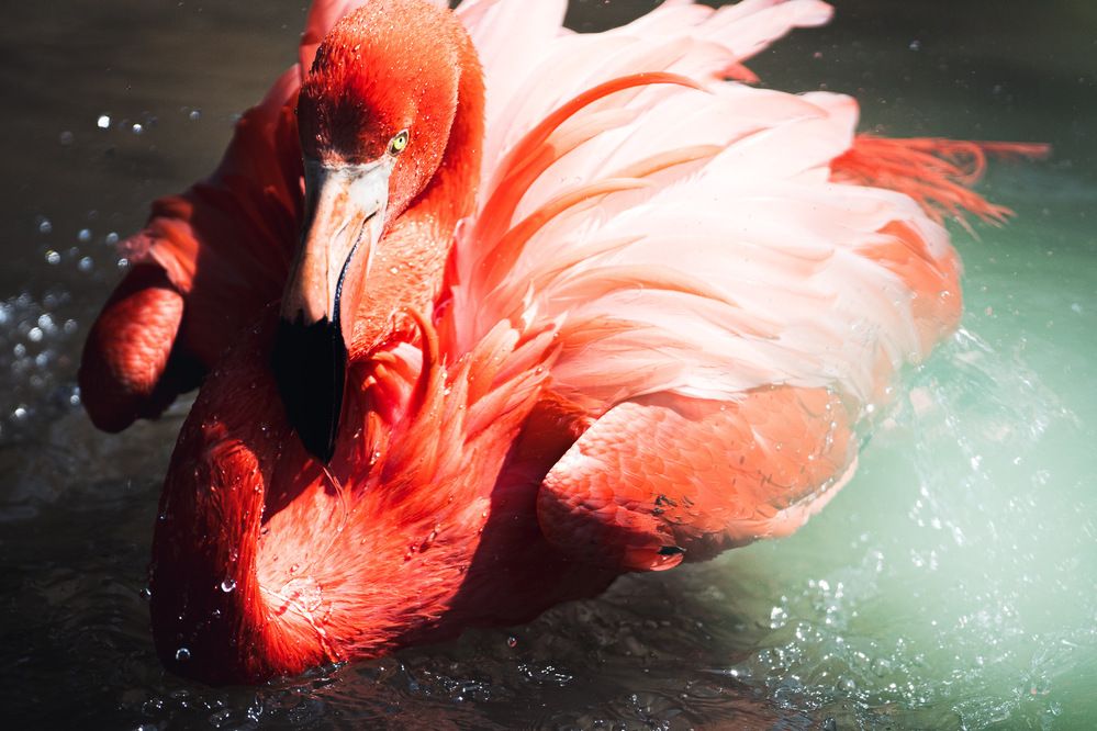 Photograph by AKAO TAITO