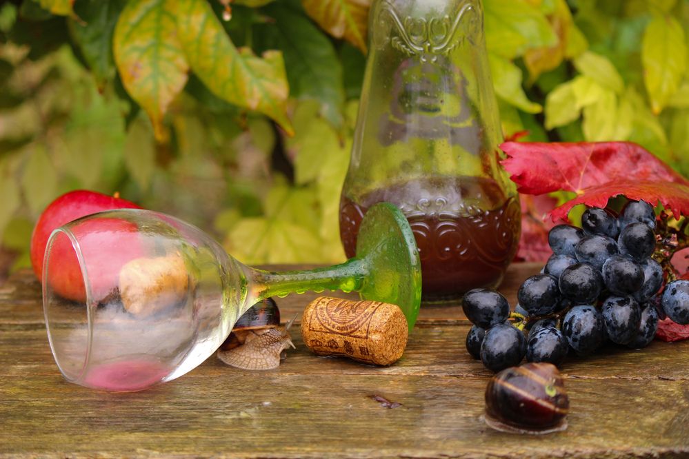 Photograph by Ирина Дмитриенко