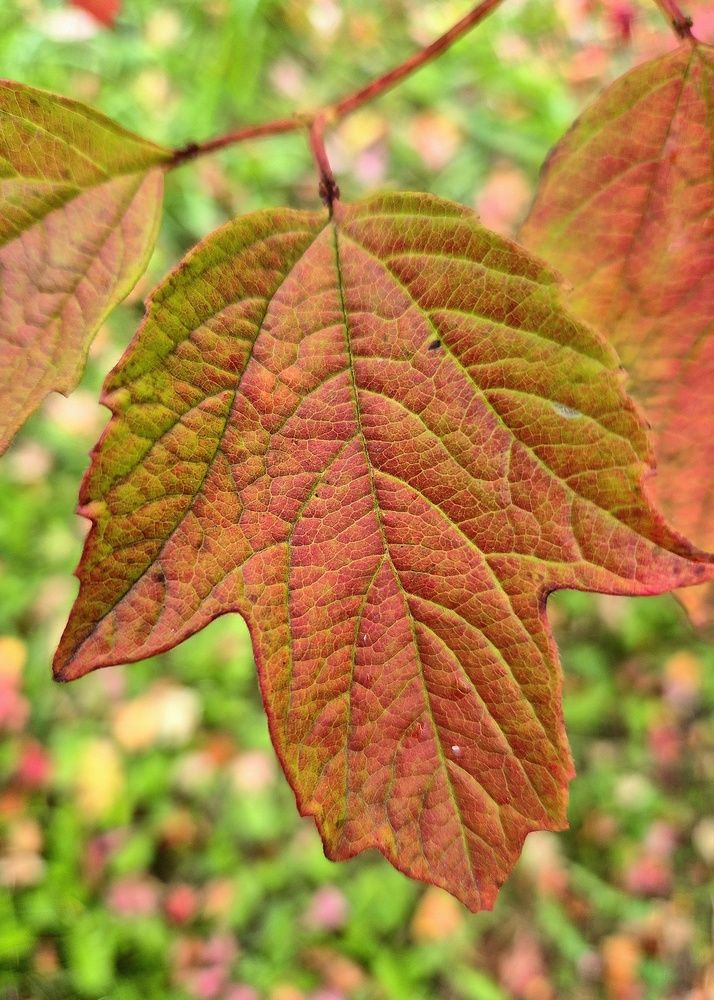 Photograph by Яна Галимуллина