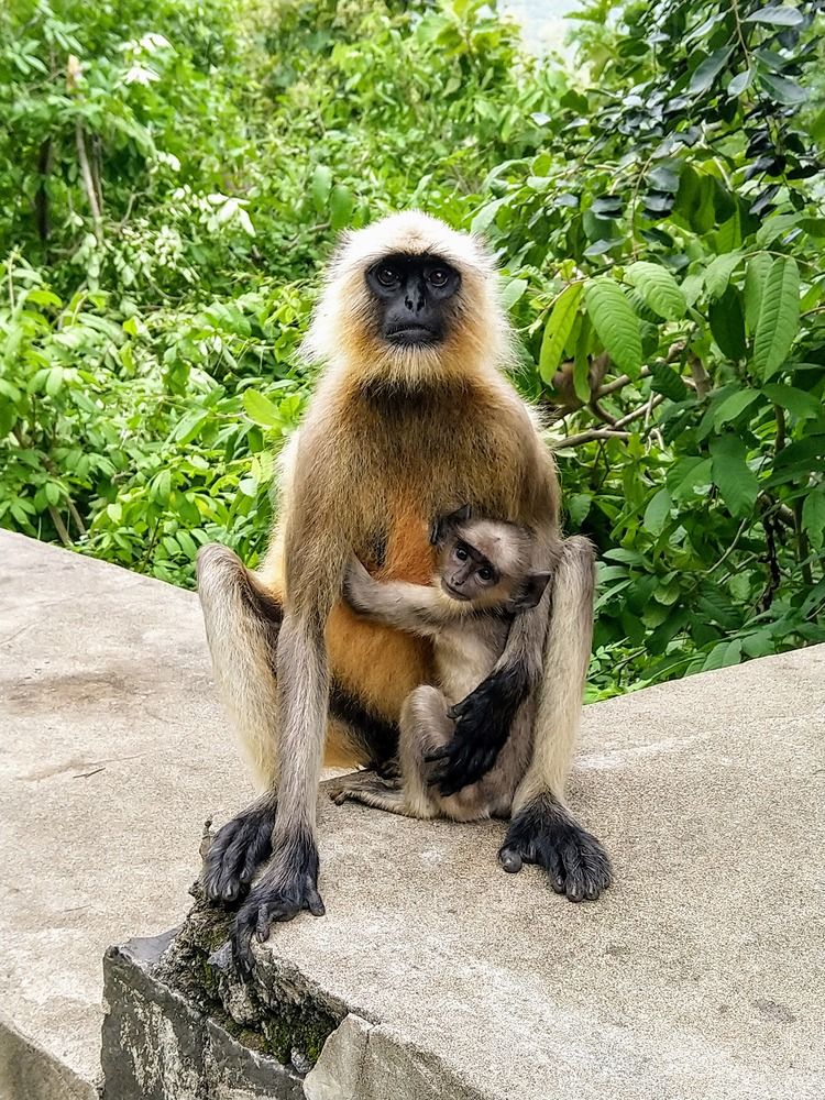 Photograph by sumit sitole