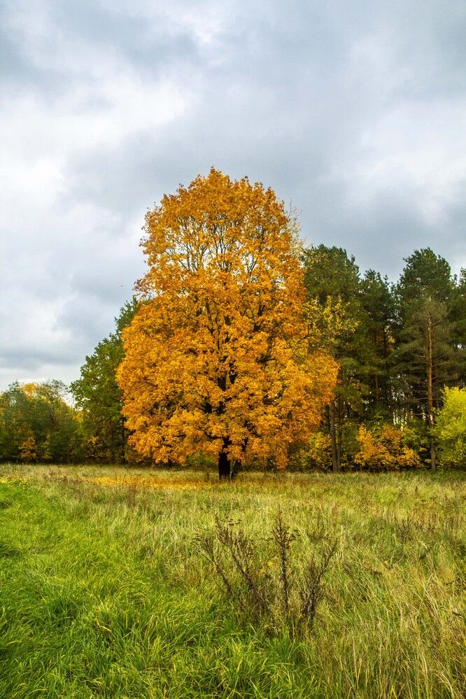 Фотография автора Нестеренко Светлана