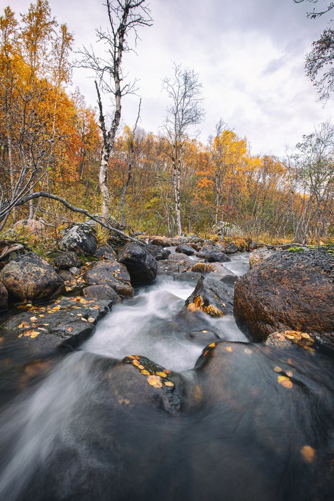 Photograph by ЕВГЕНИЙ СКАЛОЗУБОВ