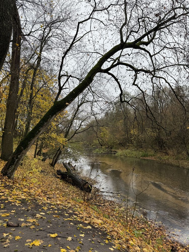 Фотография автора Юлия Денисенко