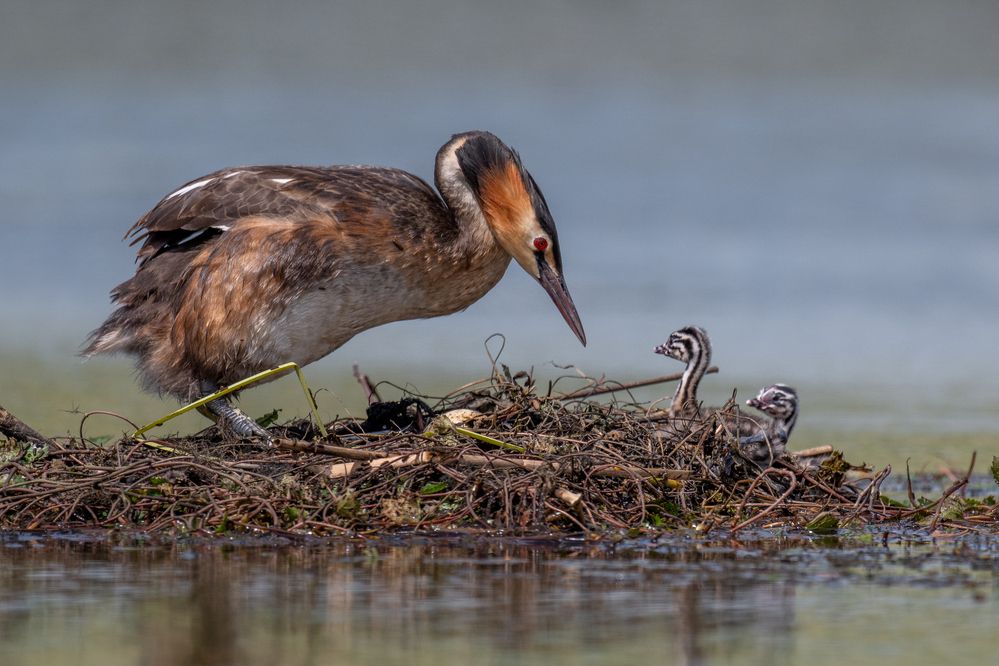 Photograph by Константин Тучин