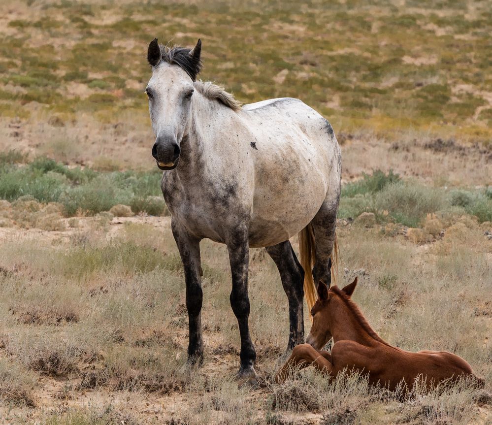 Photograph by Анна Стрелковская