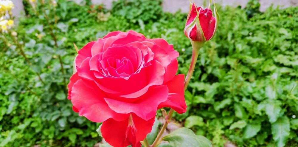 Photograph by Лариса Неудачина