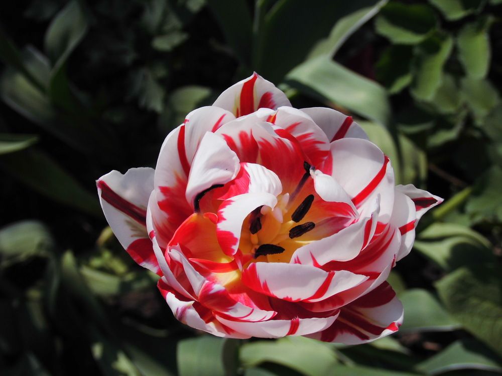 Photograph by Лариса Неудачина