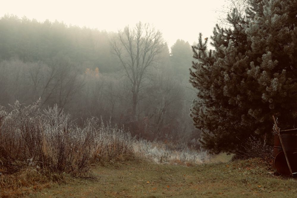 Photograph by Вера Сдвижкова