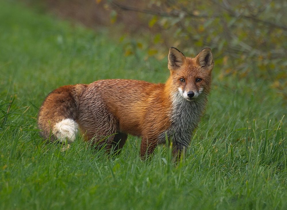 Фотография автора Andrew Kuzmin