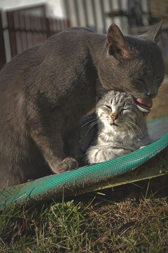 Photograph by Любовь Лунина