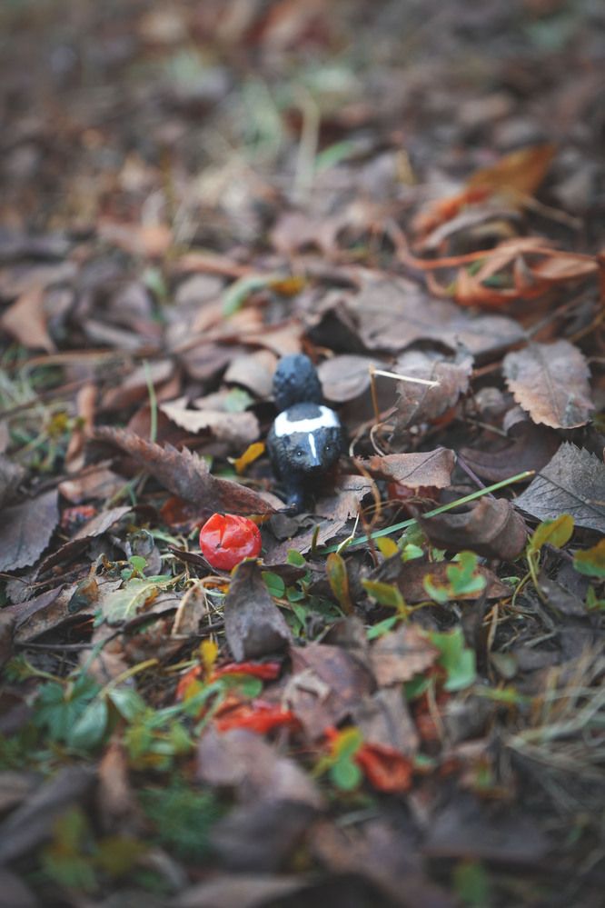 Photograph by Любовь Лунина