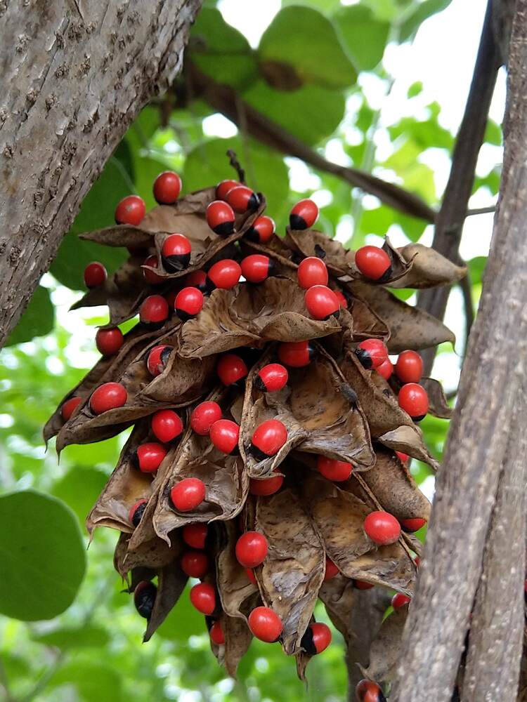 Photograph by sumit sitole