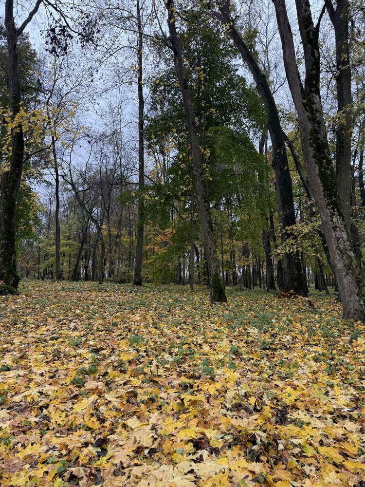 Фотография автора Юлия Денисенко