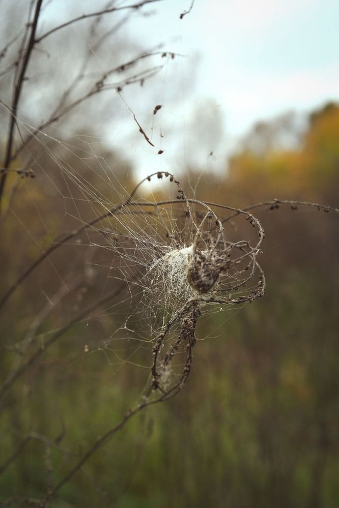 Photograph by Любовь Лунина