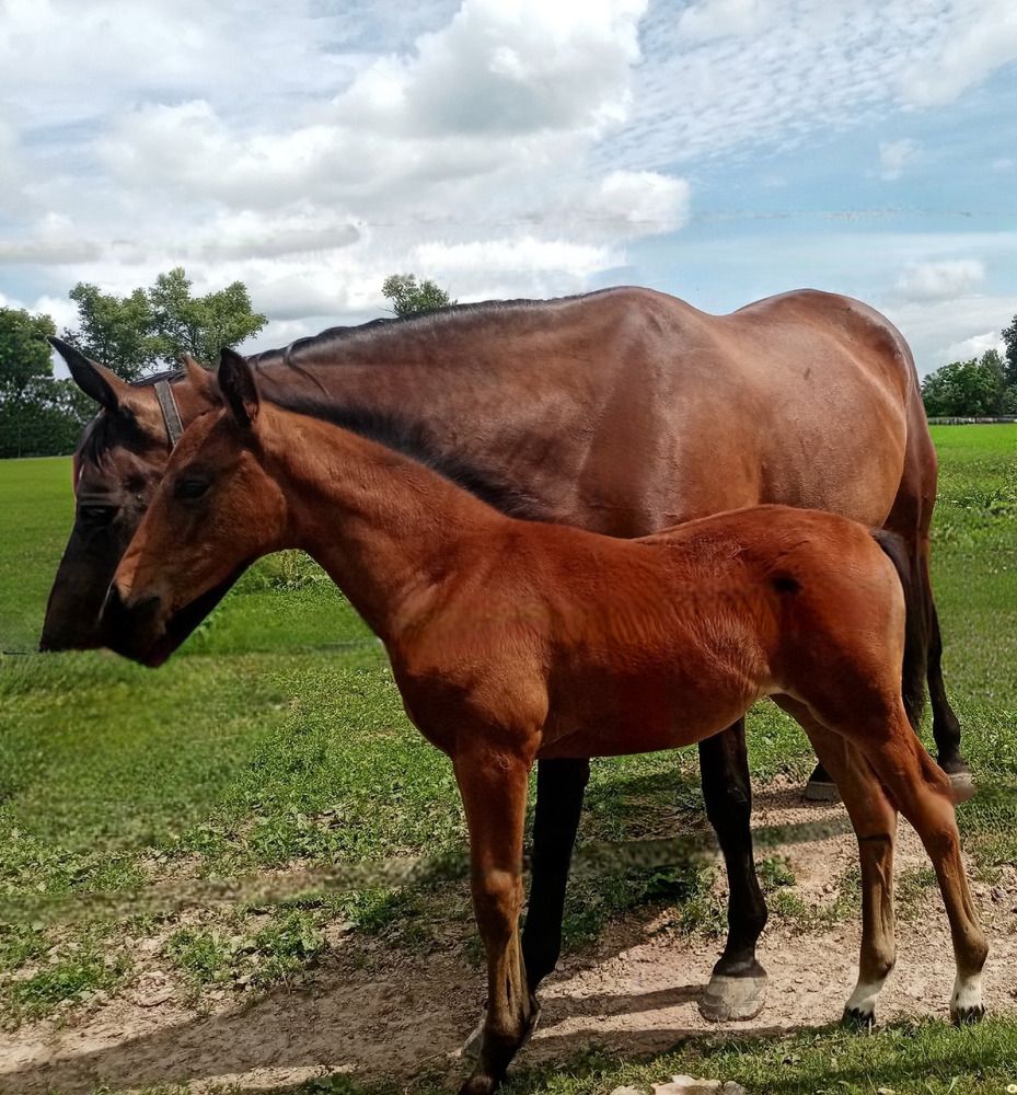 Photograph by Елена Сухорученкова