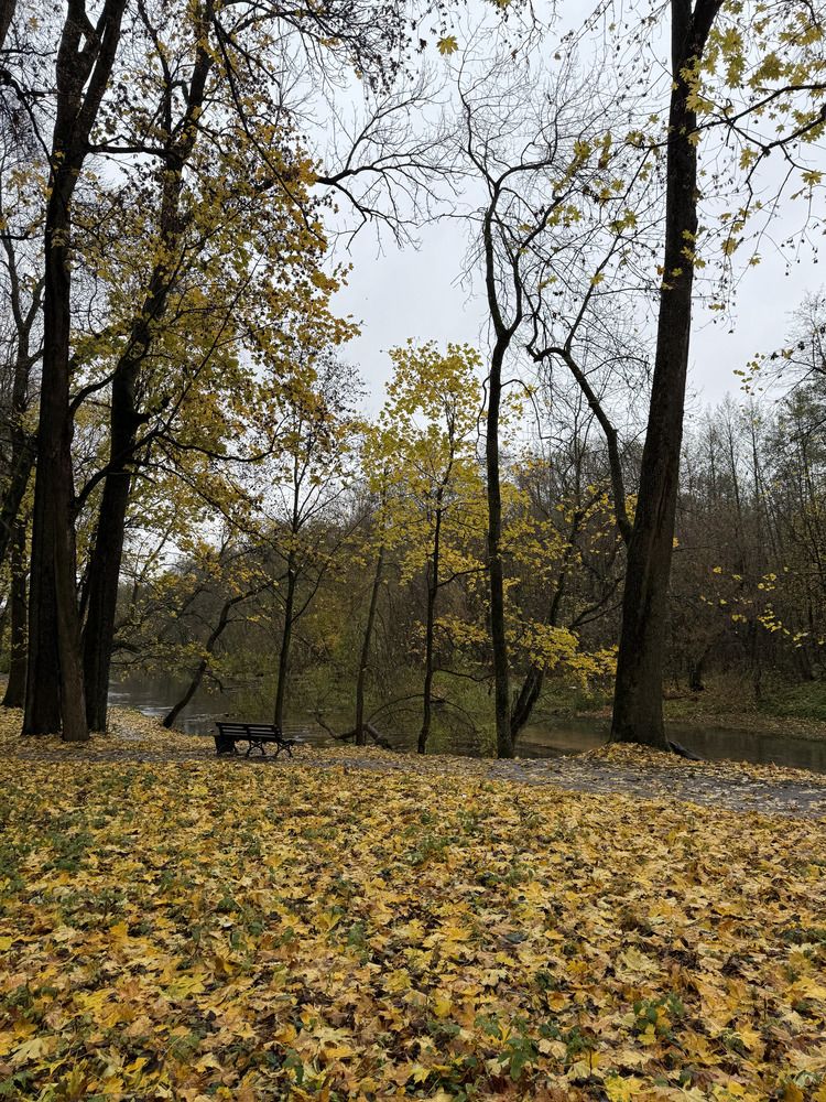 Фотография автора Юлия Денисенко