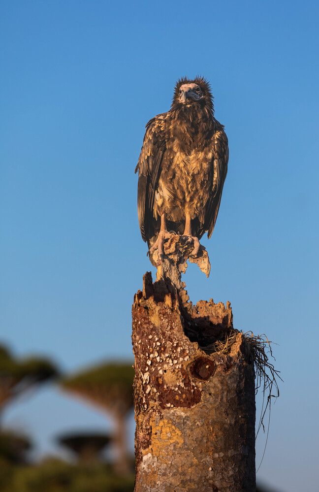 Фотография автора Илья Поляк
