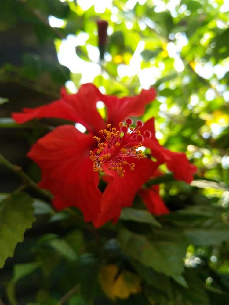 Photograph by sumit sitole