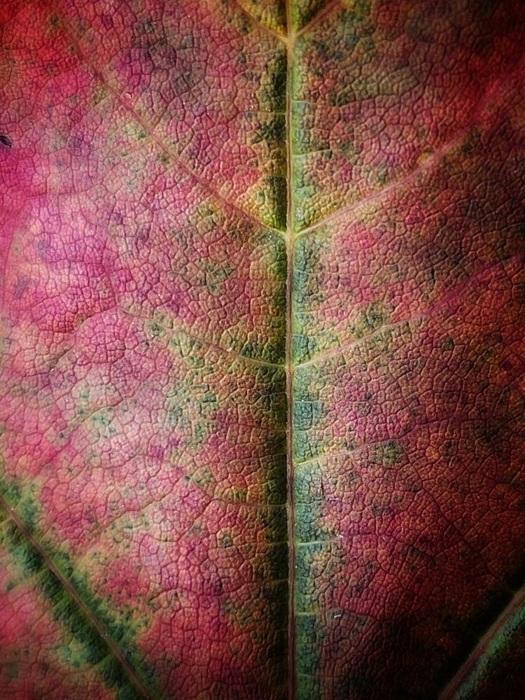 Фотография автора Татьяна Сякина