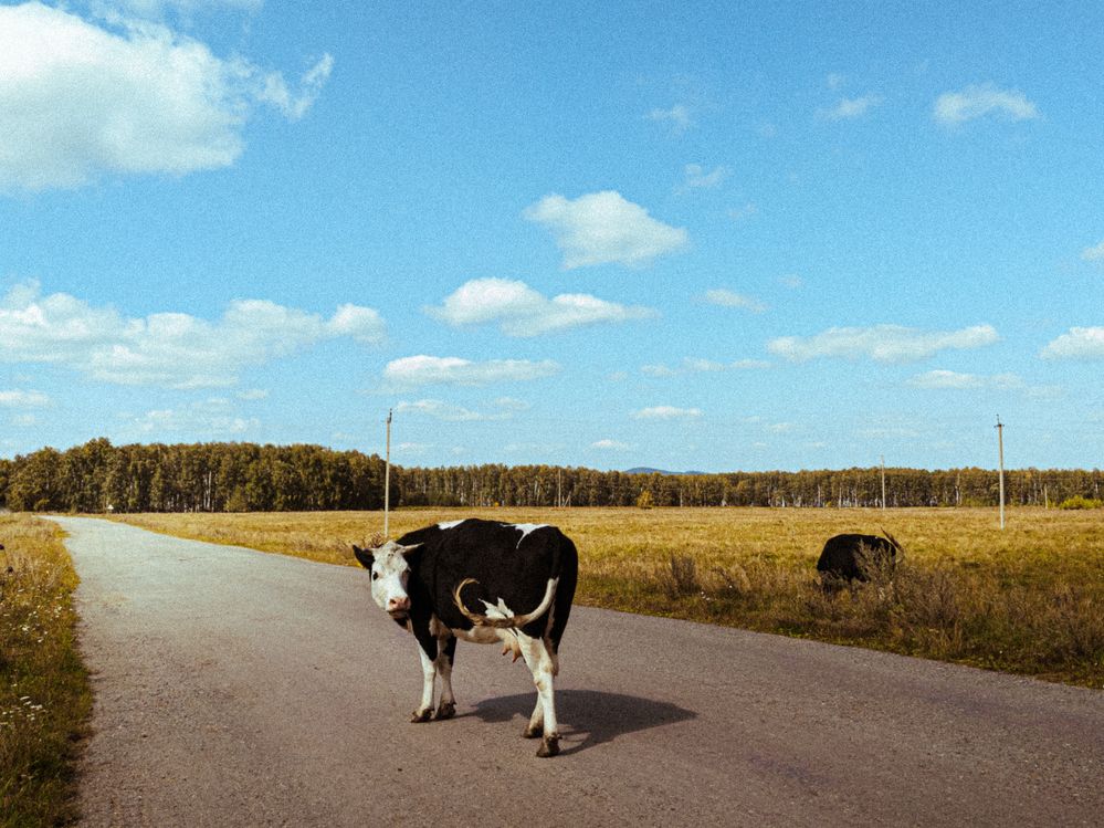 Photograph by Gerun Ekaterina