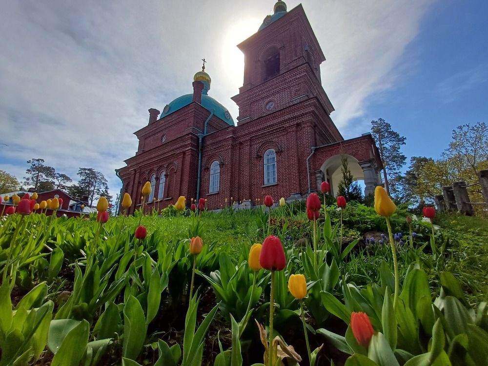 Photograph by Валентина