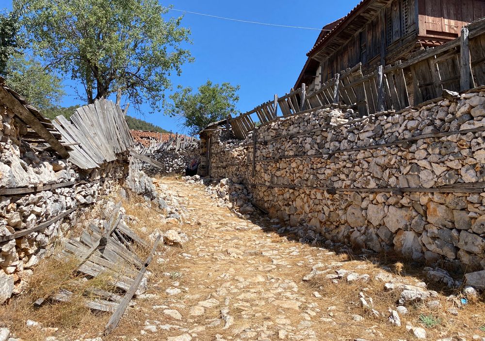 Photograph by Светлана Карнаух