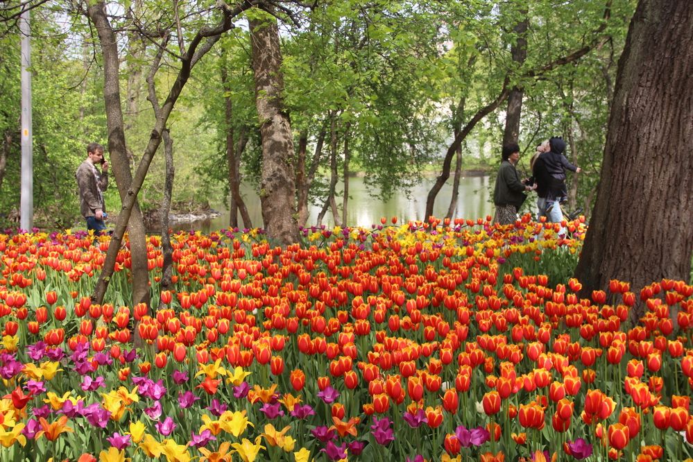 Photograph by Валентина