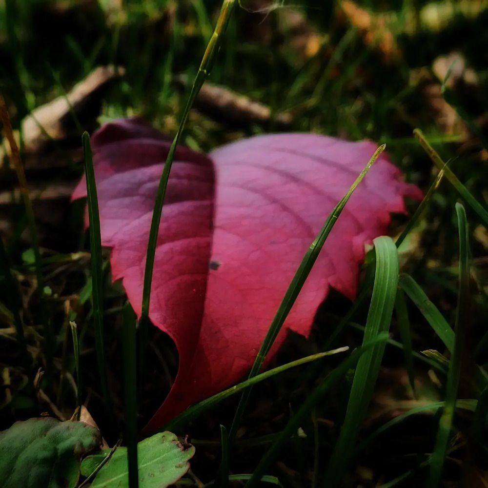 Фотография автора Татьяна Сякина