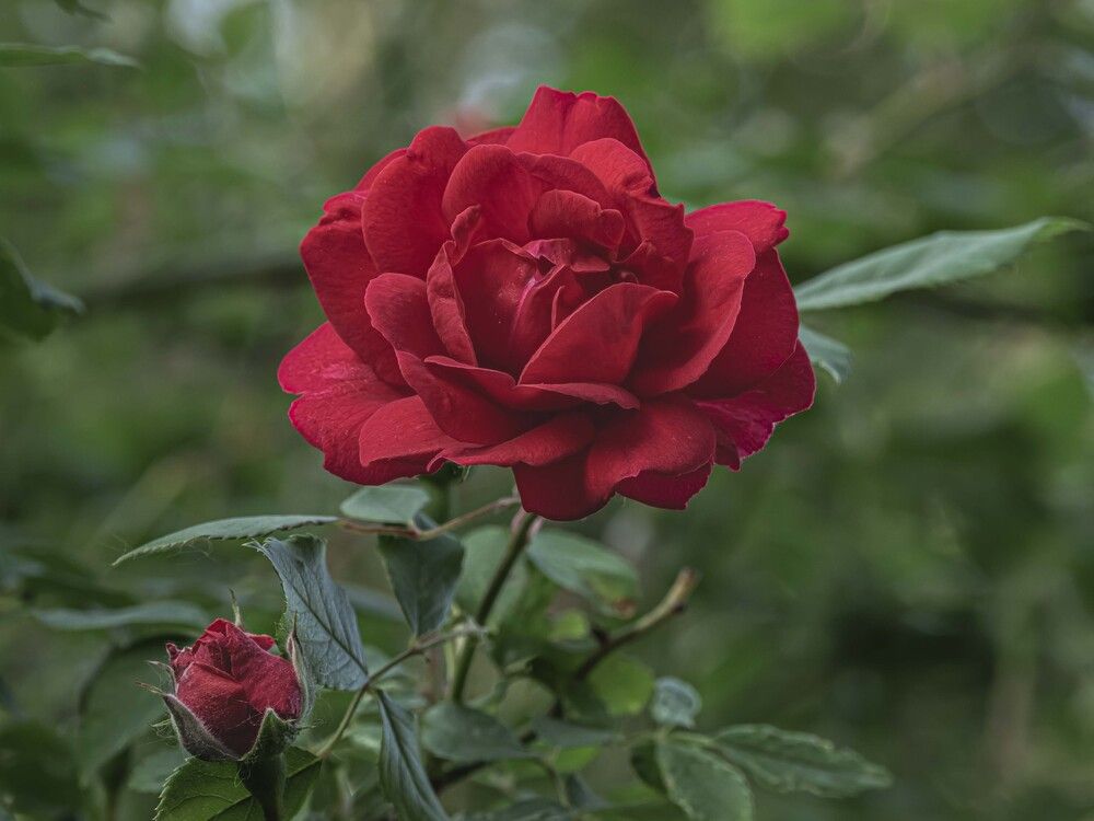 Photograph by Борис Полтавец