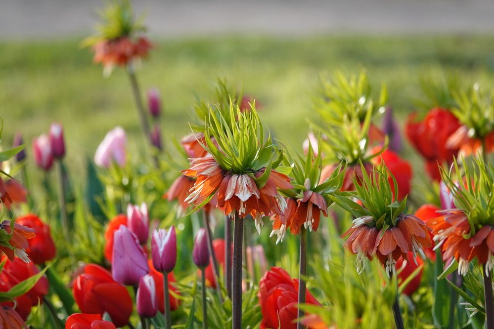 Photograph by Zakharov Matvey