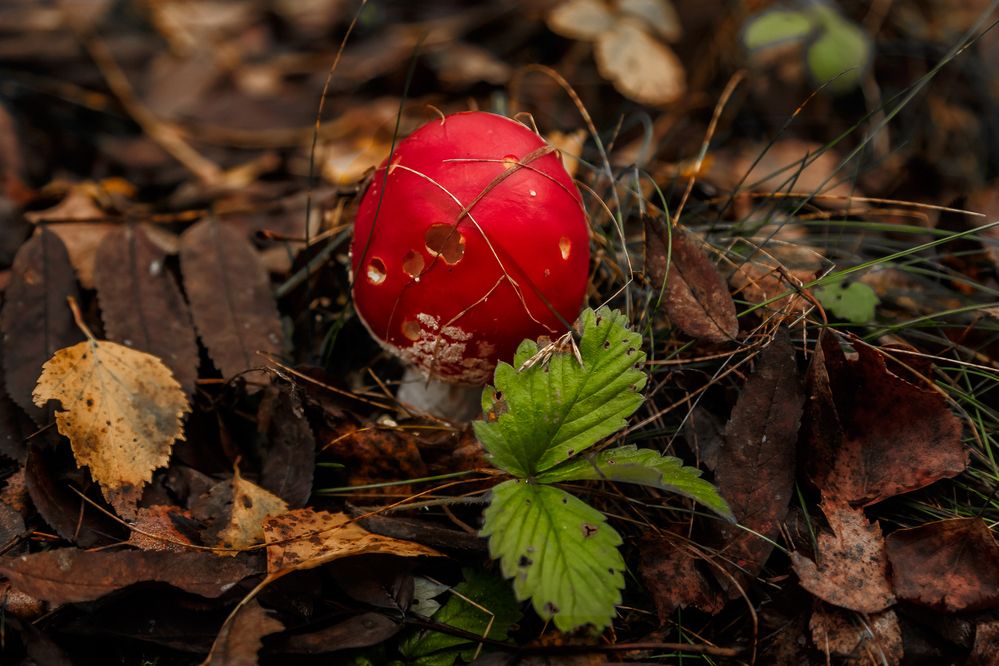 Photograph by Наталья Колеватова