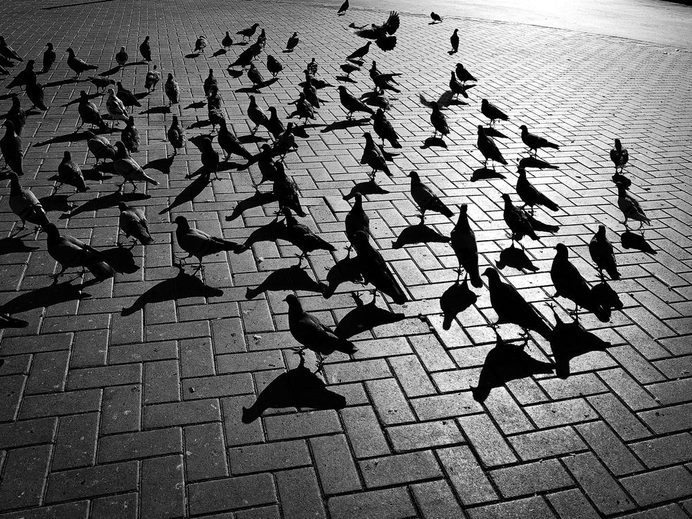 Photograph by Mosbah Hammad
