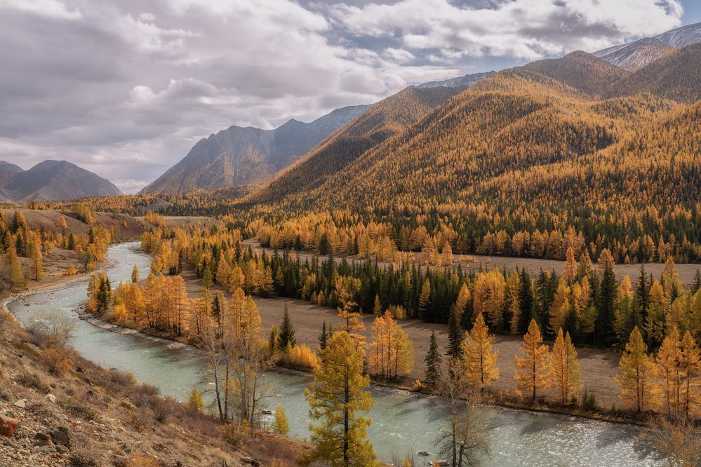 Photograph by Гусева Елена