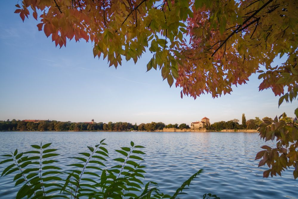 A strange point of view