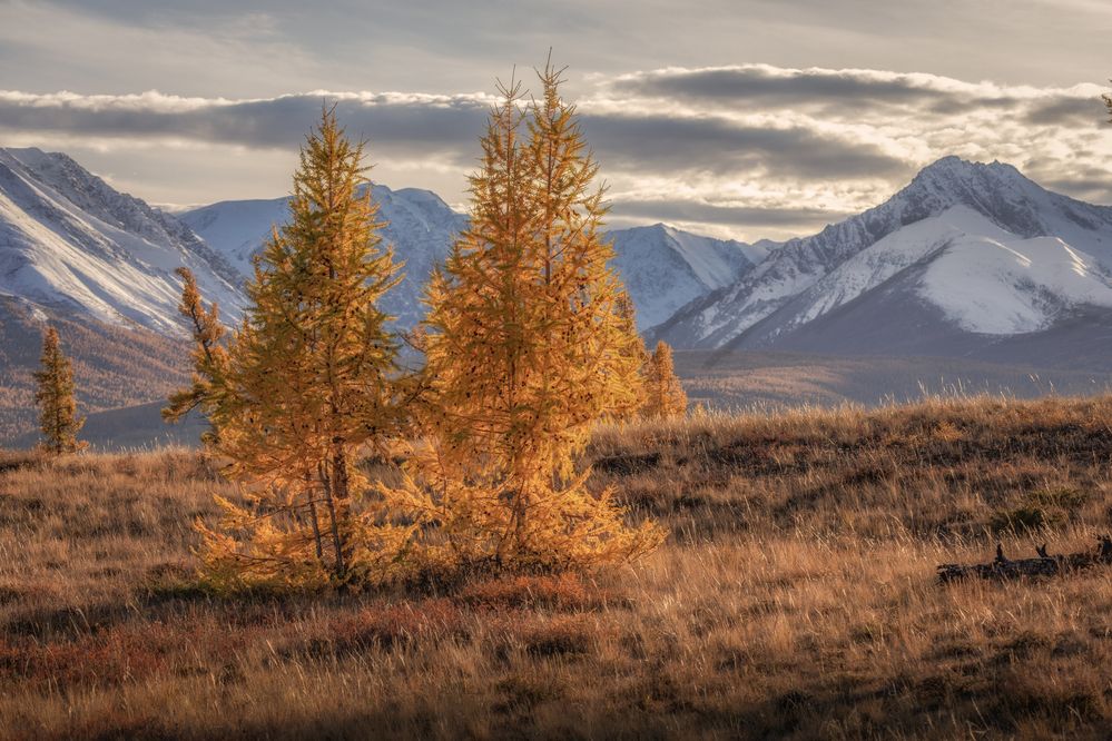 Photograph by Гусева Елена