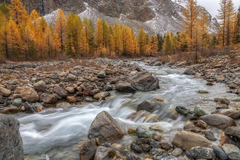 Photograph by Гусева Елена