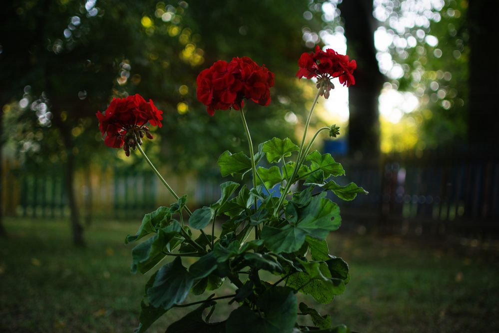 Photograph by Евгений Адуцкевич