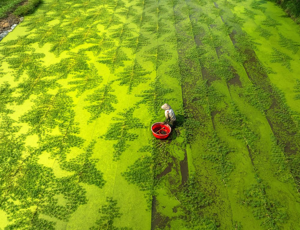 Photograph by Tran Phuong