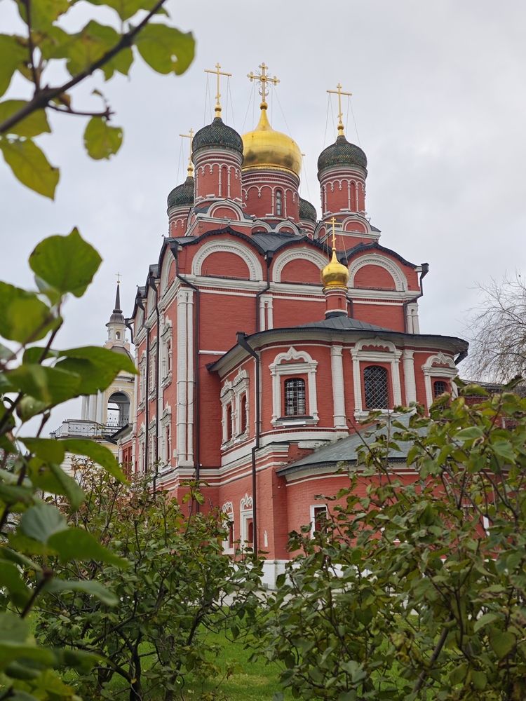 Photograph by Елена Шоколенко