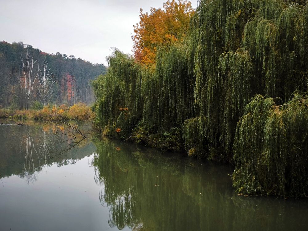 Photograph by Ольга Стоун